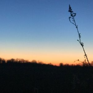 Meet your Posher, Elena